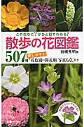 楽天市場】創英社（三省堂書店） 散歩で見かける草花・雑草図鑑 改訂版