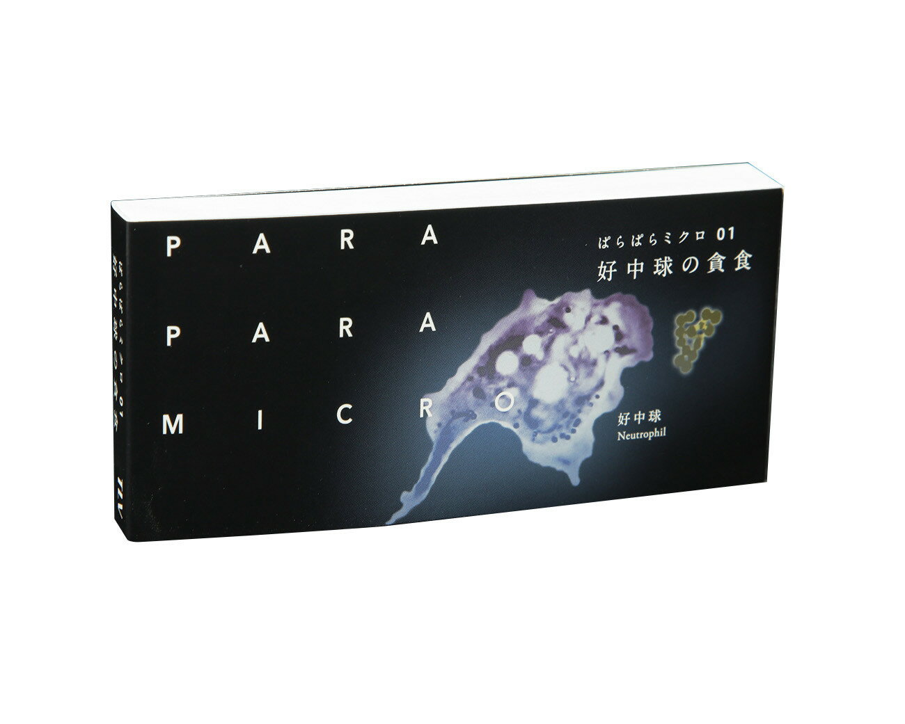 ぱらぱらミクロ ０１/タイムラプスビジョン/タイムラプスビジョン