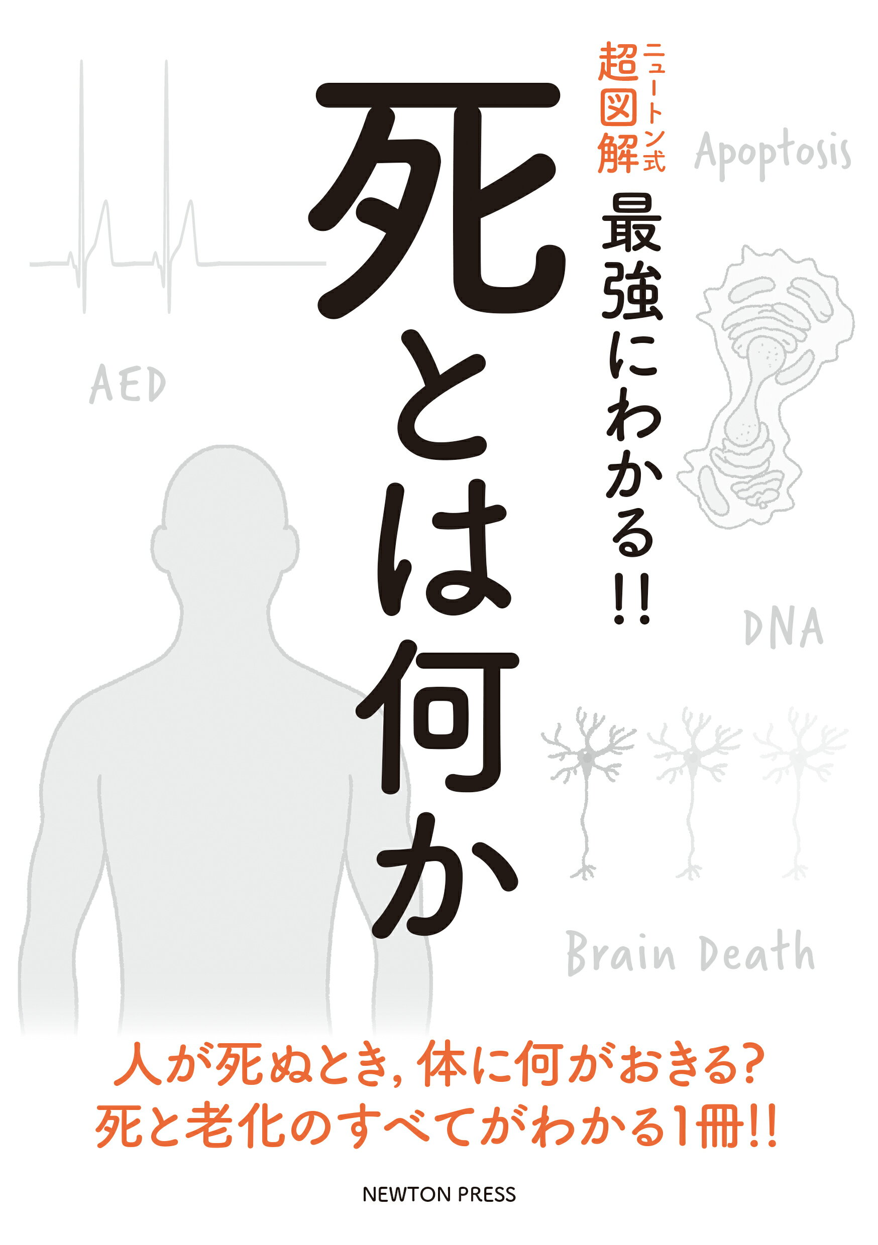 ニュートン式超図解最強にわかる！！死とは何か/ニュ-トンプレス/田沼靖一
