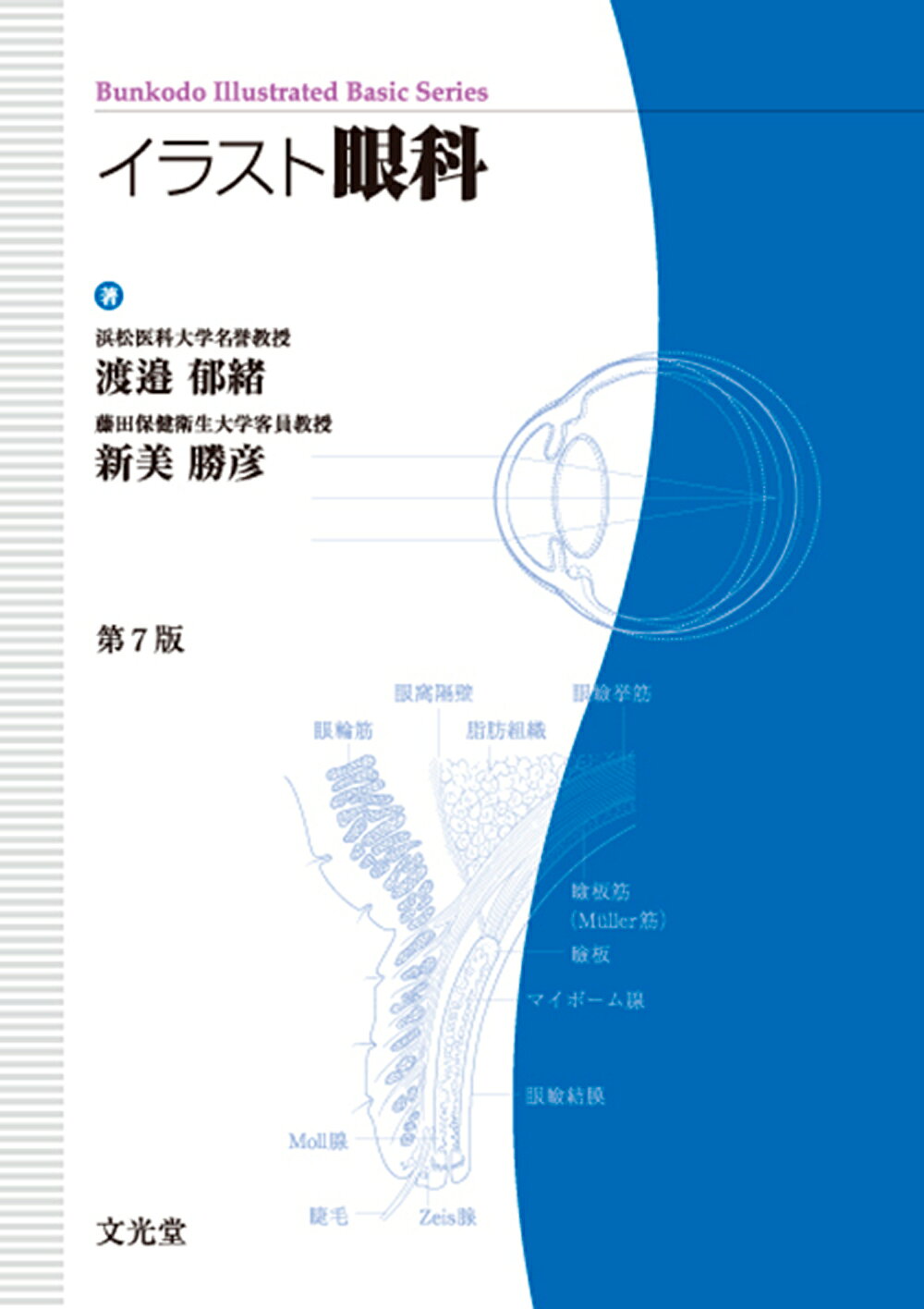 【中古】 イラスト眼科/文光堂/渡辺郁緒 楽天市場】文光堂 イラスト眼科 第7版/文光堂/渡辺郁緒 | 価格比較