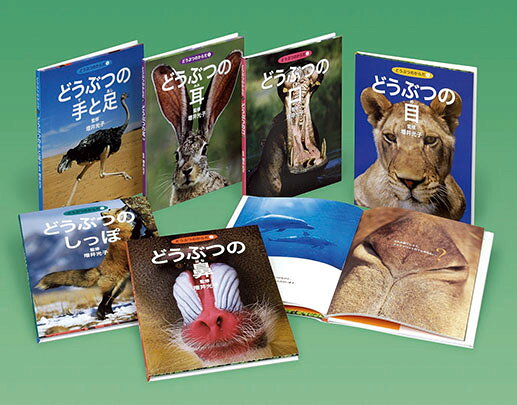 楽天市場】偕成社 教科書にのってるどうぶつの赤ちゃん（全6巻セット