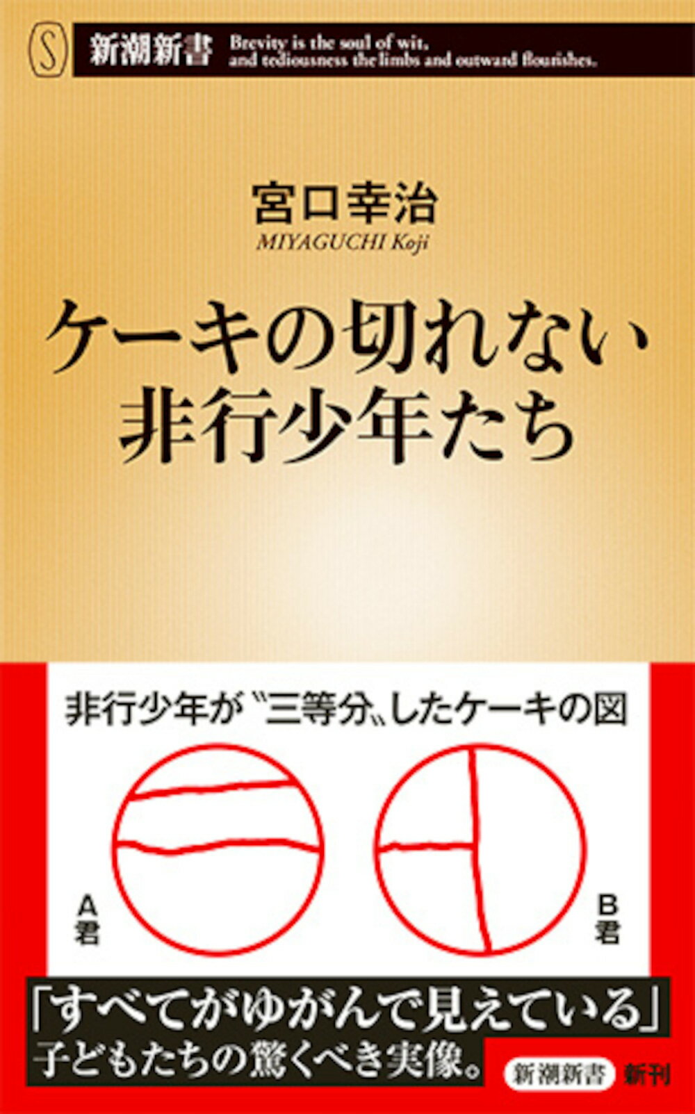 ケーキの切れない非行少年たち/新潮社/宮口幸治