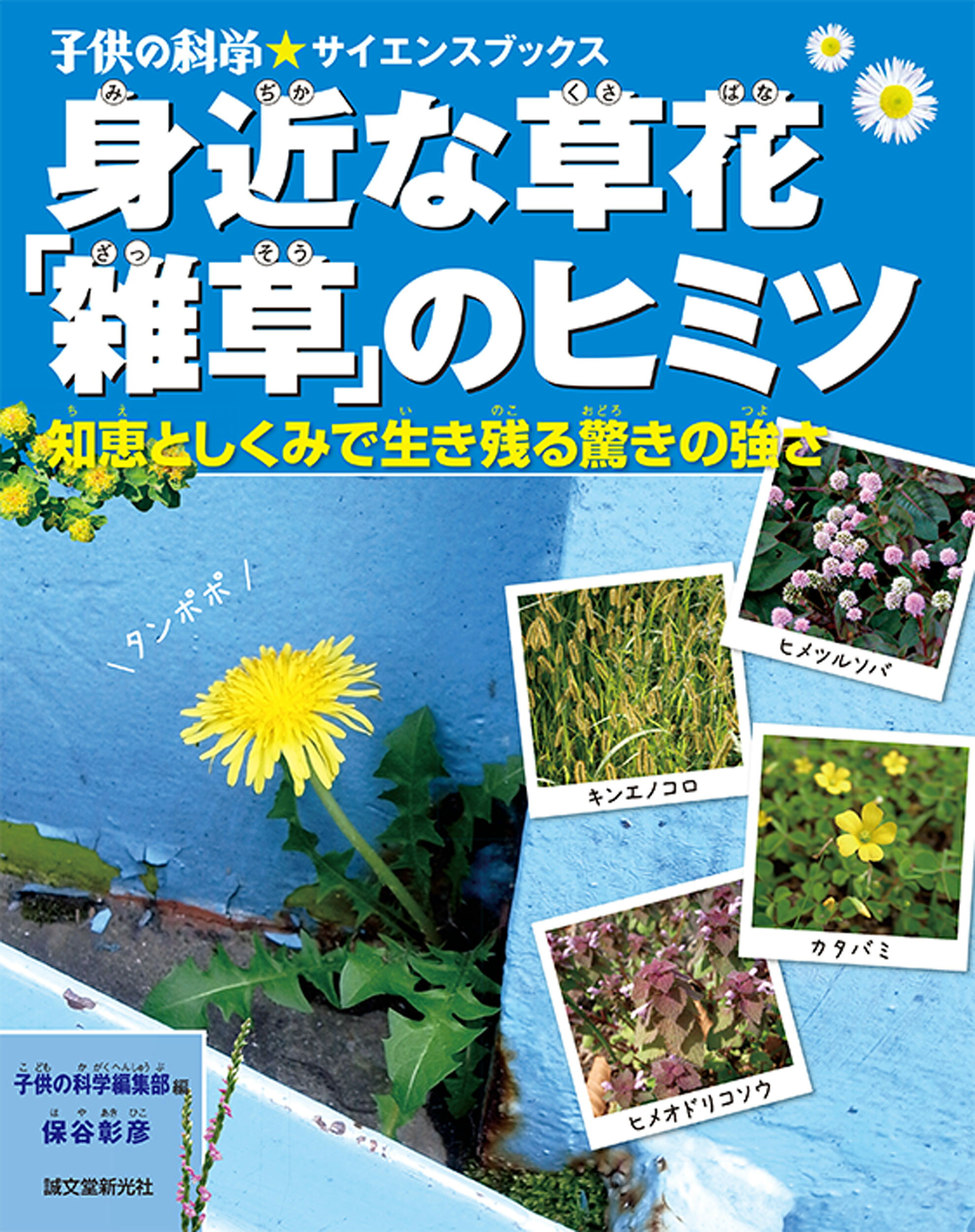 楽天市場】誠文堂新光社 冬虫夏草生態図鑑 採集・観察・分類・同定