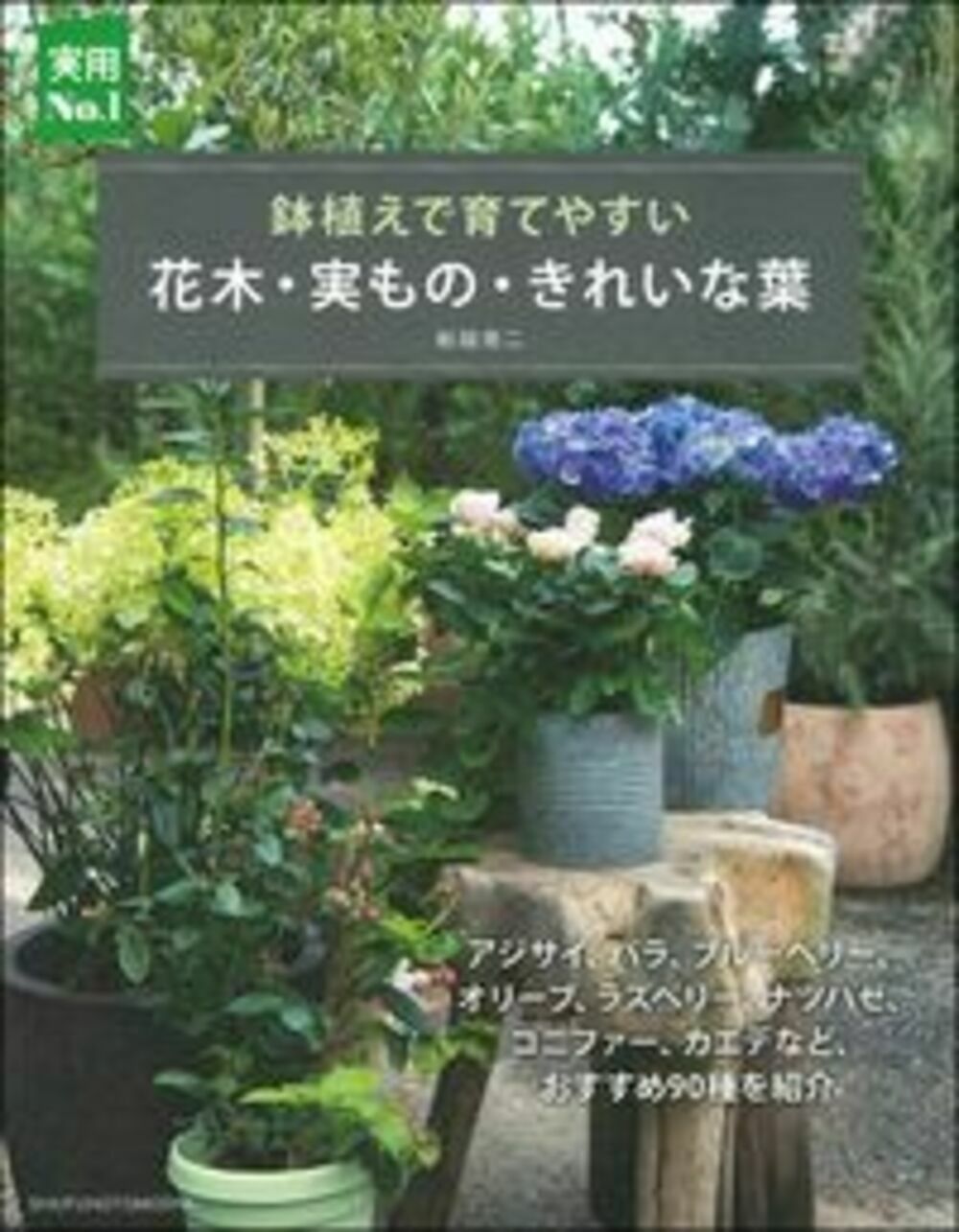 花木・実もの・きれいな葉 鉢植えで育てやすい/主婦の友社/船越亮二