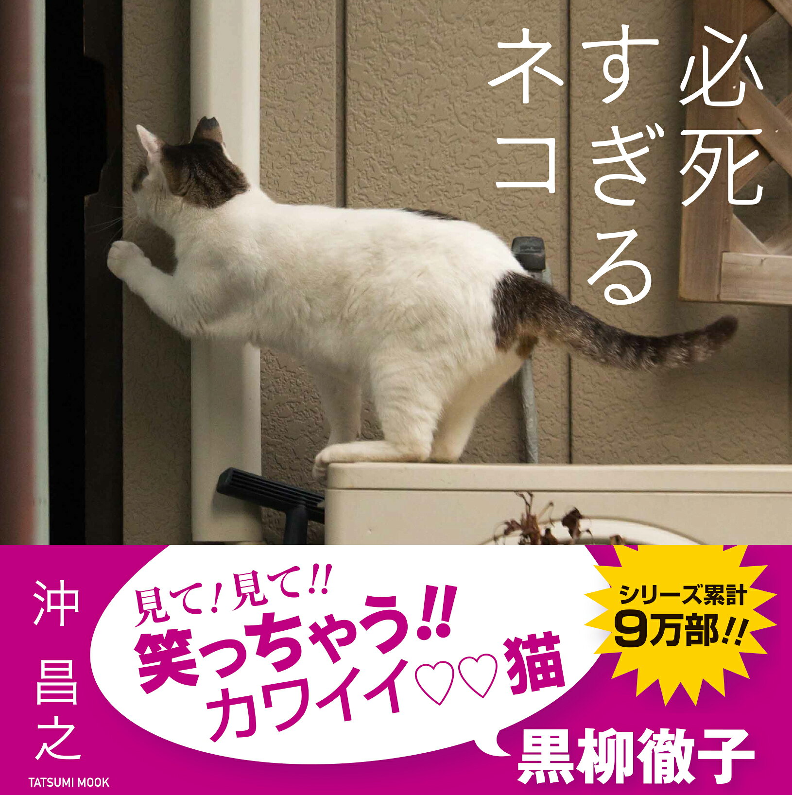 必死すぎるネコ/辰巳出版/沖昌之