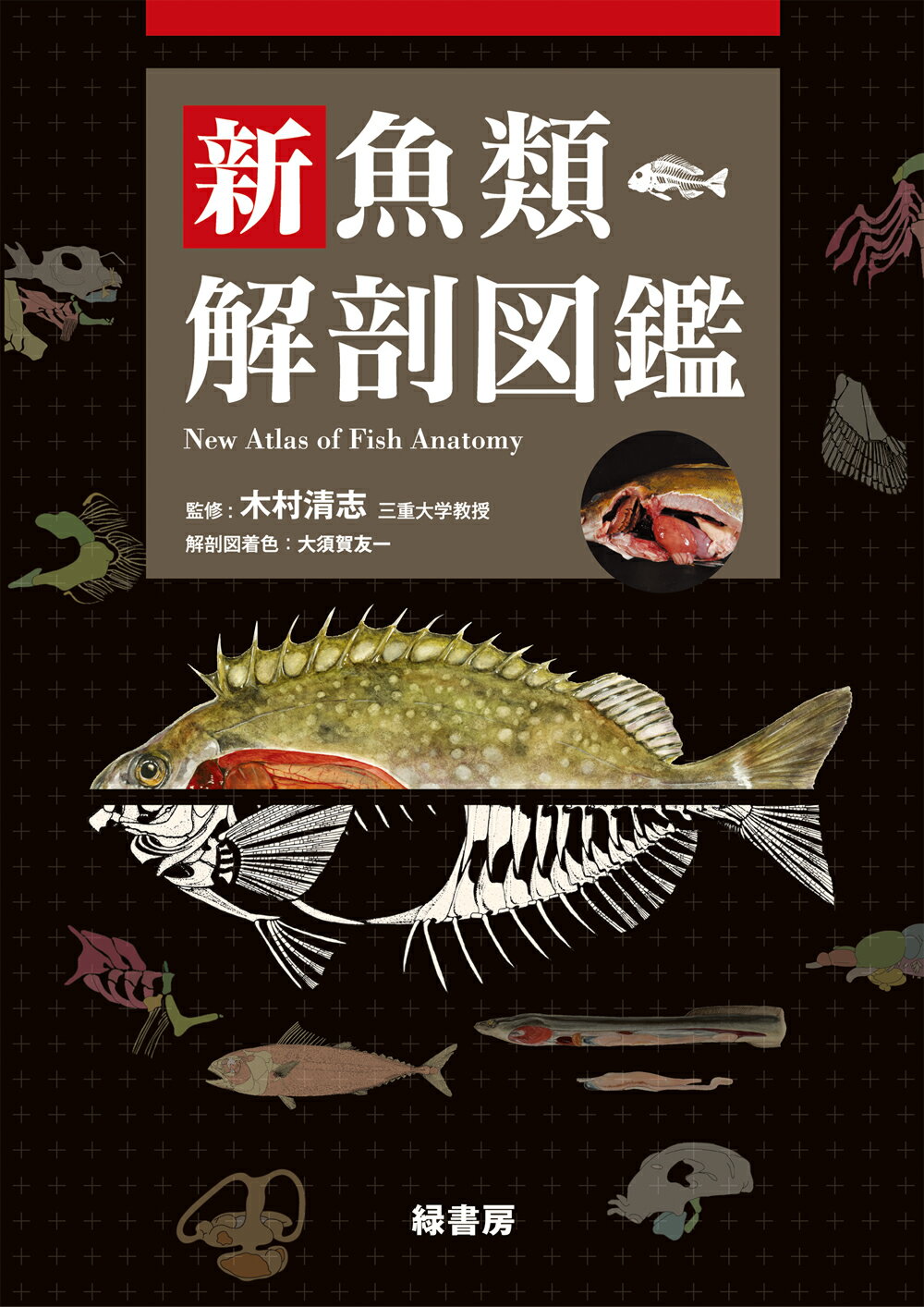 新魚類解剖図鑑/緑書房（中央区）/木村清志
