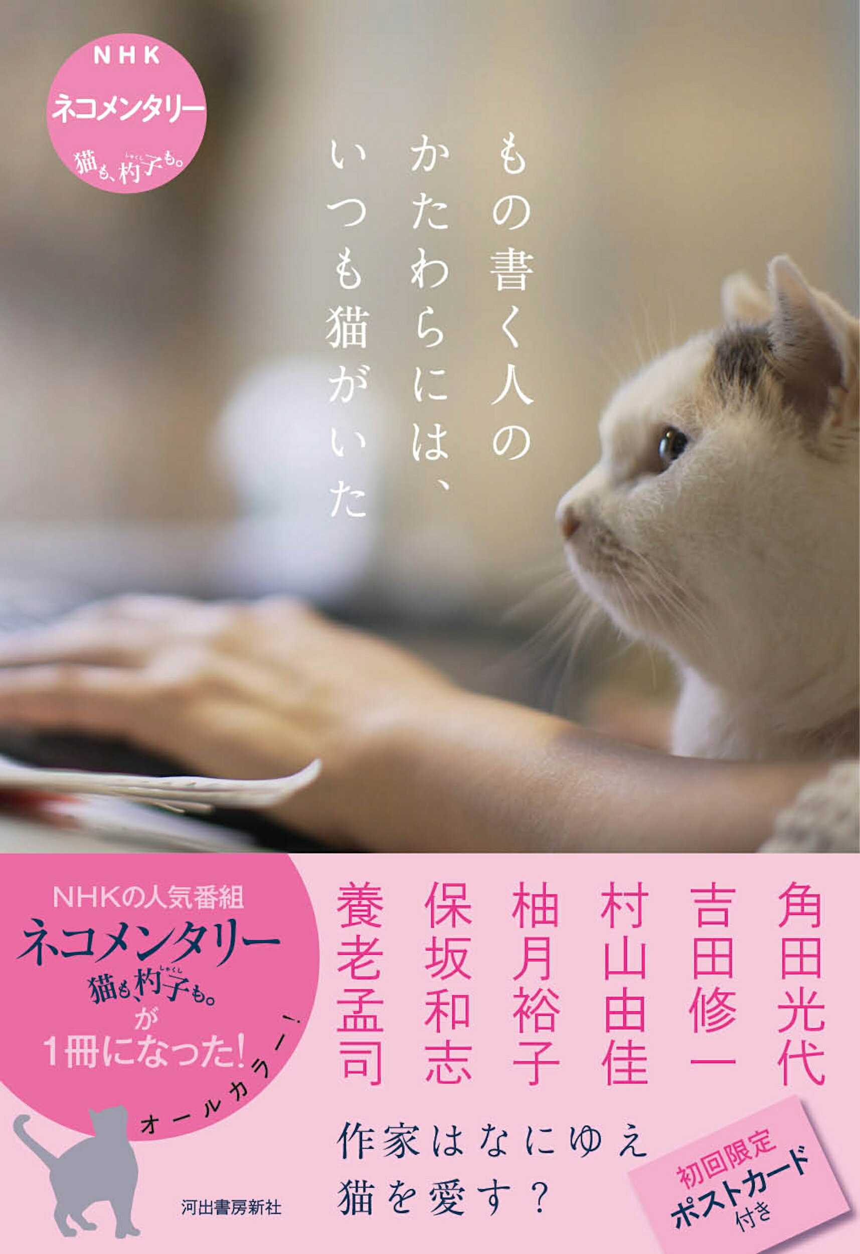 楽天市場】角川書店 バック・トゥ・キャンパス ギンガム・チェック