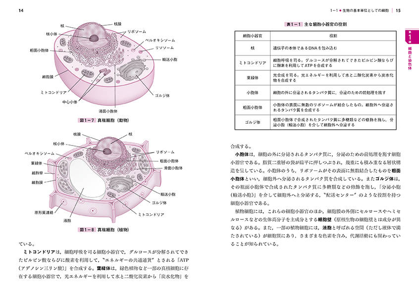 基本がわかる分子生物学集中講義/講談社/花岡文雄