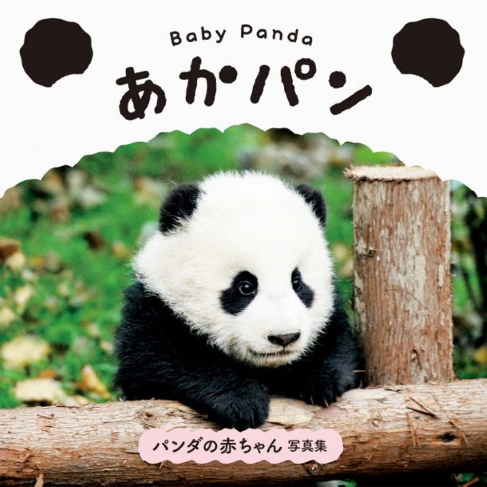 楽天市場】BL出版 コウコウとタンタン パンダ写真集/BL出版/中村