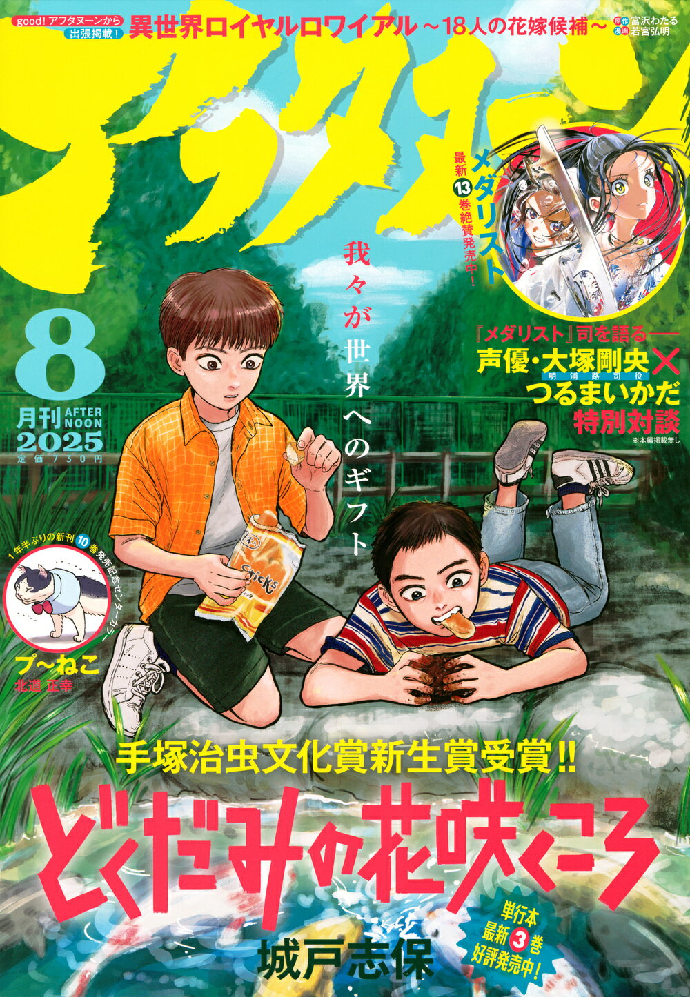 月刊 アフタヌーン 2025年 08月号 [雑誌]/講談社