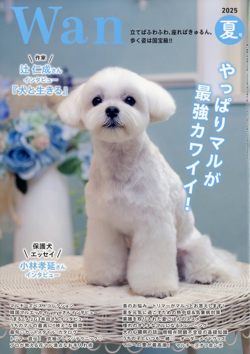 wan (ワン) 2025年 07月号 [雑誌]/緑書房(中央区)