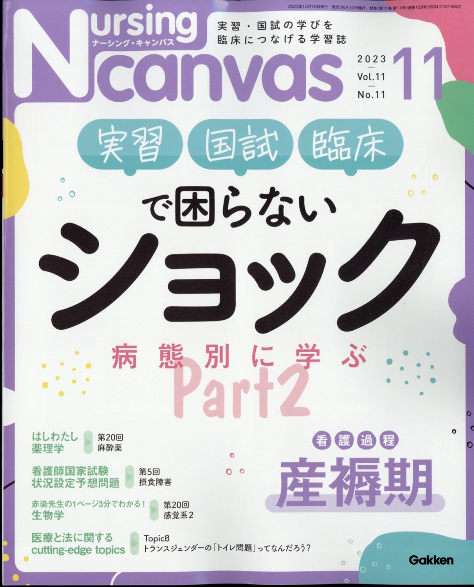 ナーシング・キャンバス No.1〜12 Nursing Canvas(ナーシングキャンバス) 2024年 12 月号 [雑誌