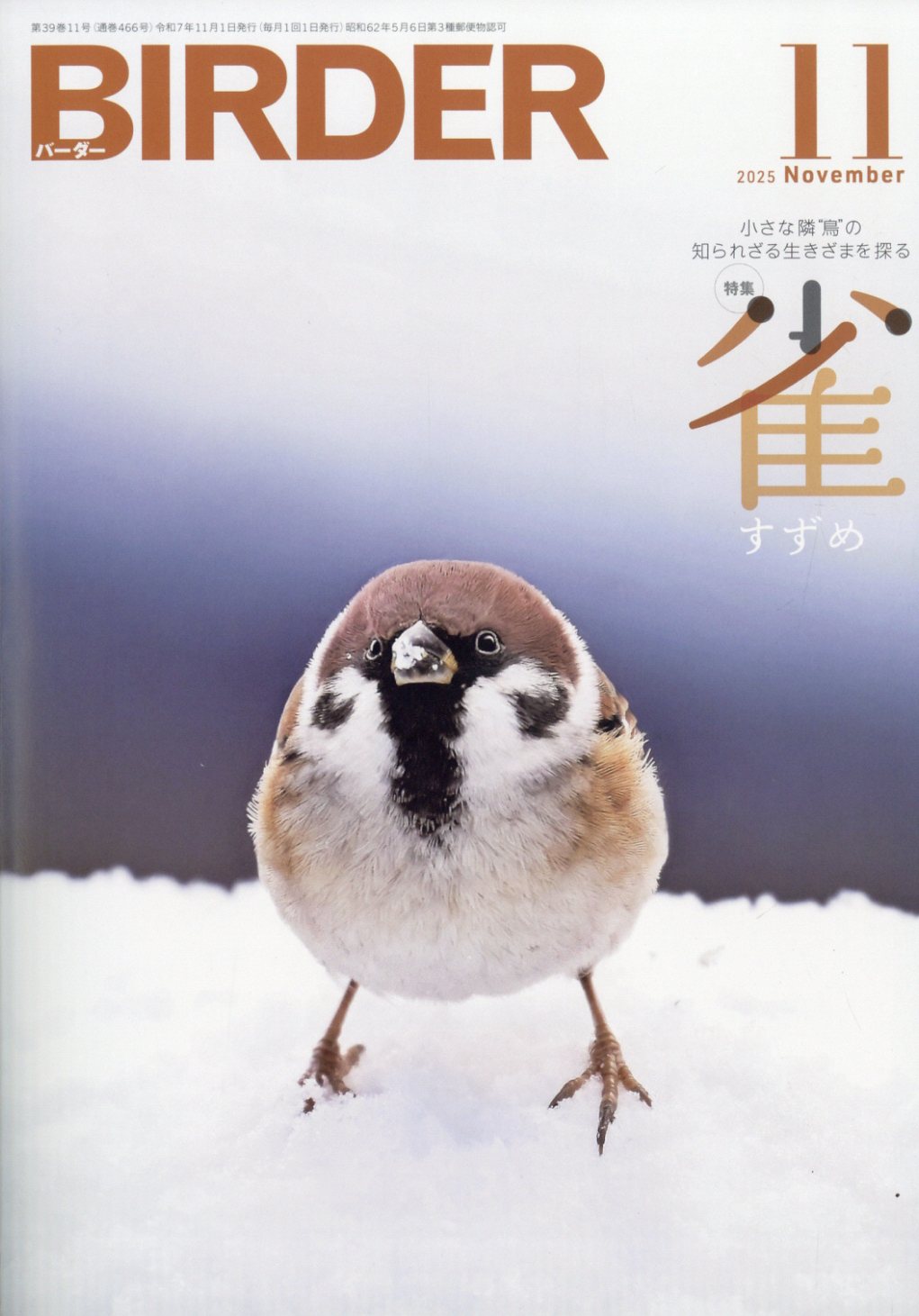 BIRDER (バーダー) 2025年 11月号 [雑誌]/文一総合出版