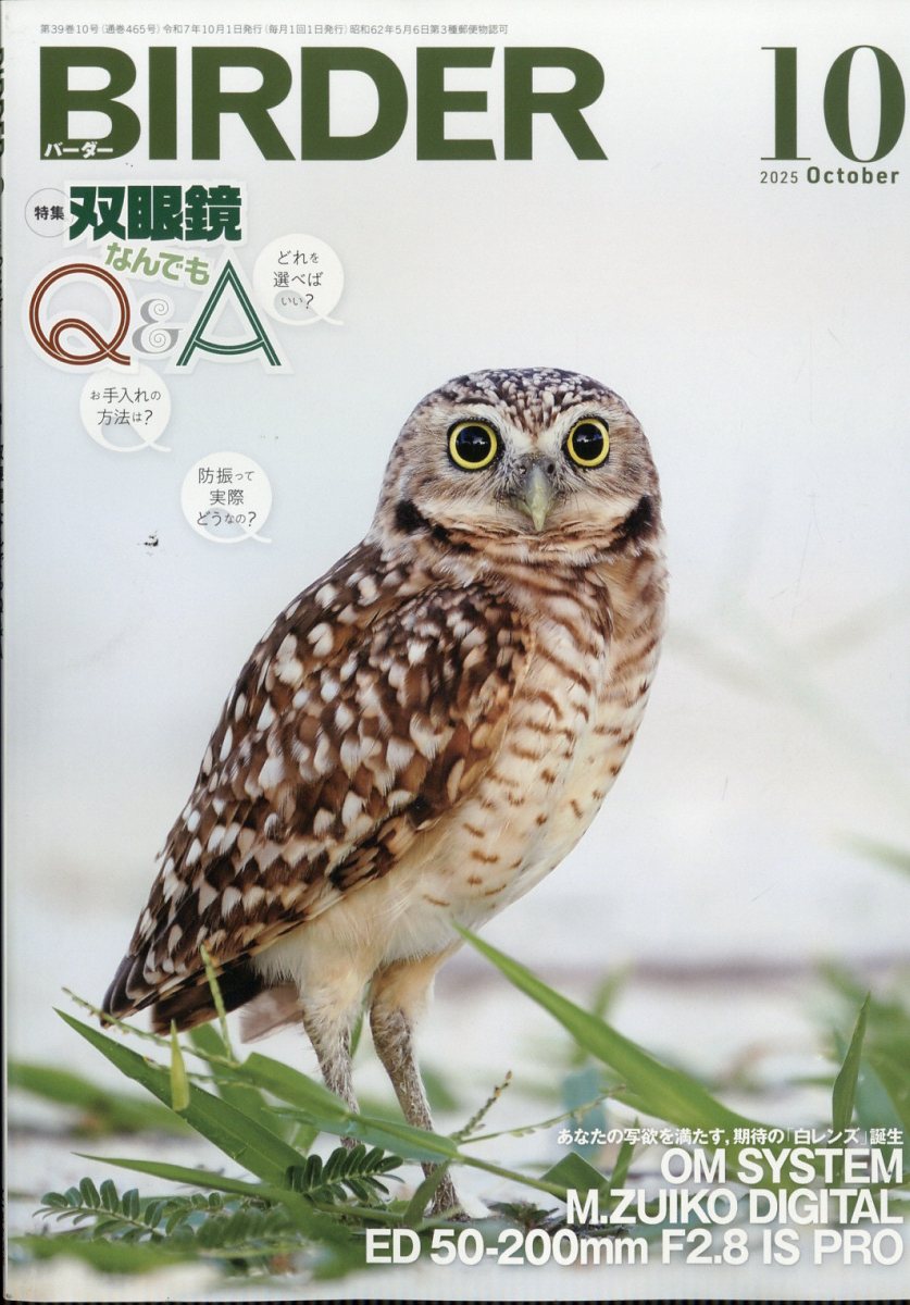 BIRDER (バーダー) 2025年 10月号 [雑誌]/文一総合出版