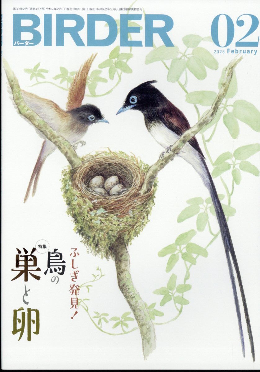 BIRDER (バーダー) 2025年 02月号 [雑誌]/文一総合出版