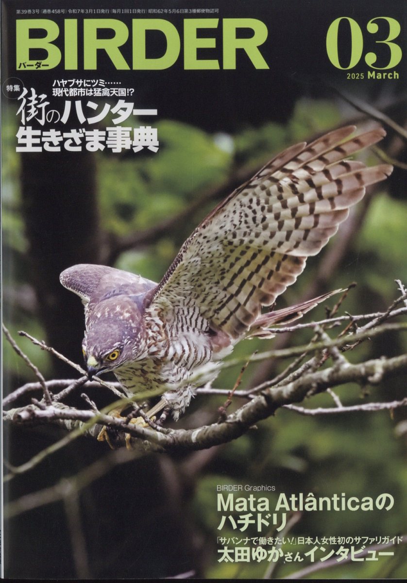 BIRDER (バーダー) 2025年 03月号 [雑誌]/文一総合出版