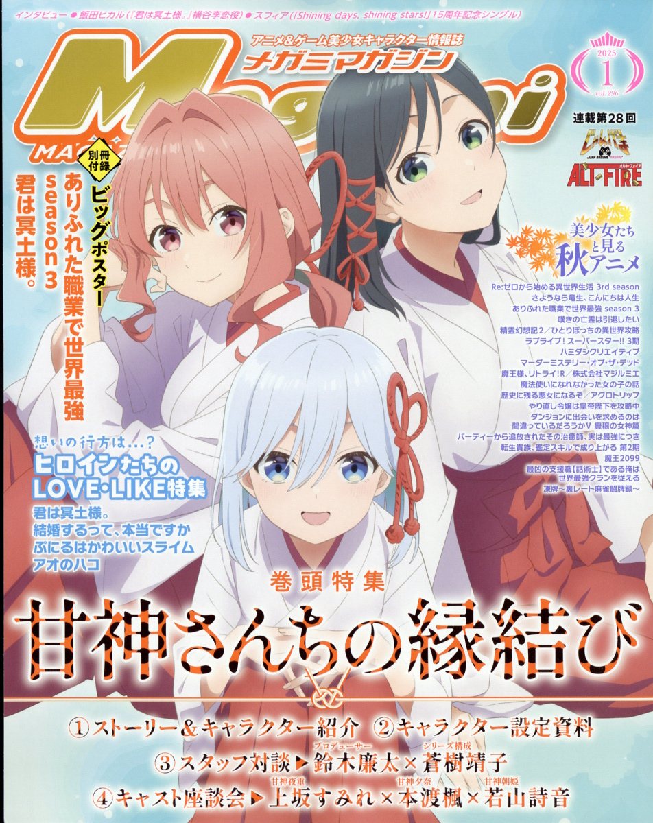 Megami Magazine メガミマガジン 13冊セット Megami Magazine(メガミマガジン） 5月号 (発売日2011年03月30日