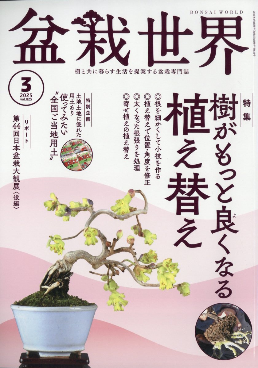 盆栽世界 2025年 03月号 [雑誌]/エスプレス・メディア出版