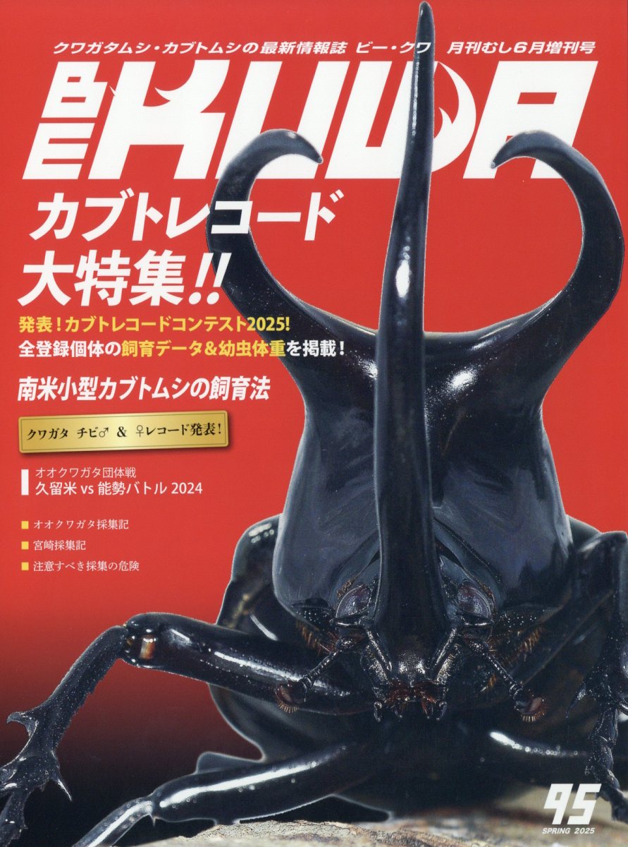 雑誌 ビークワ BE KUWA 12冊 No.14〜26 （22なし） 雑誌 ビークワ BE