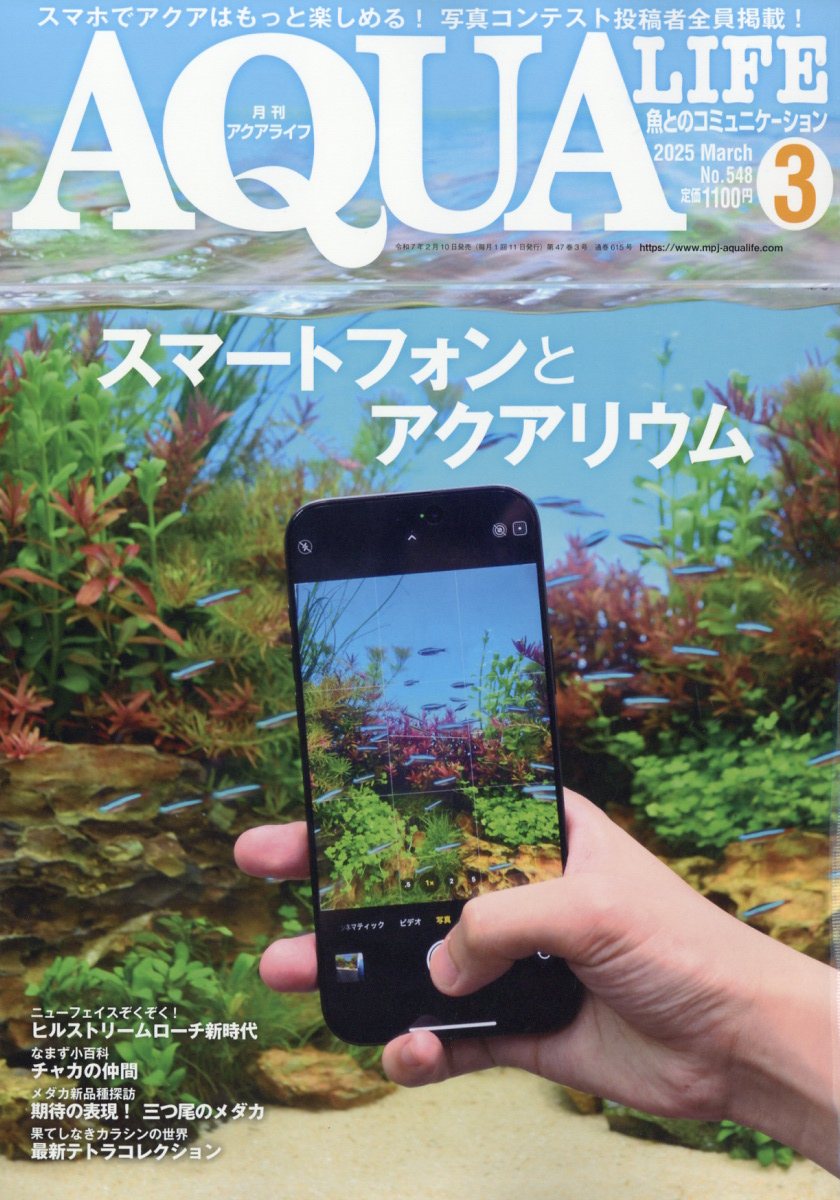 月刊 AQUA LIFE (アクアライフ) 2025年 03月号 [雑誌]/エムピージェー