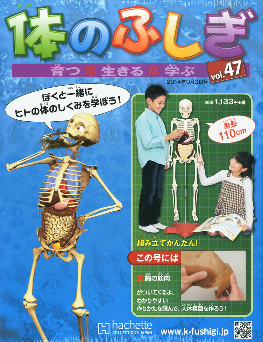 アシェット ・コレクションズ・ジャパン 体の ふしぎ 楽天市場】体のふしぎ 2014年 6/4号 [雑誌]/アシェット