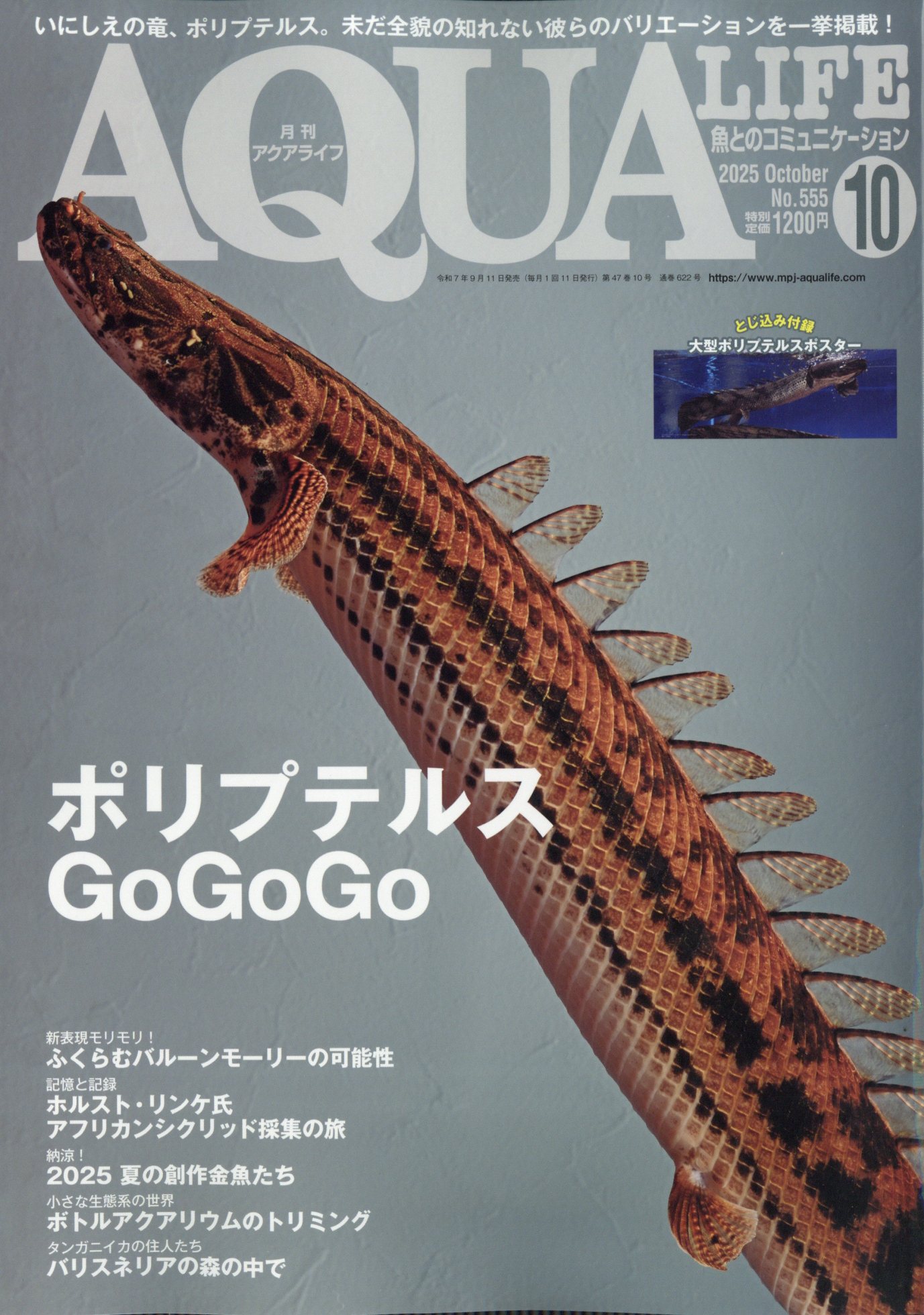 月刊 AQUA LIFE (アクアライフ) 2025年 10月号 [雑誌]/エムピージェー