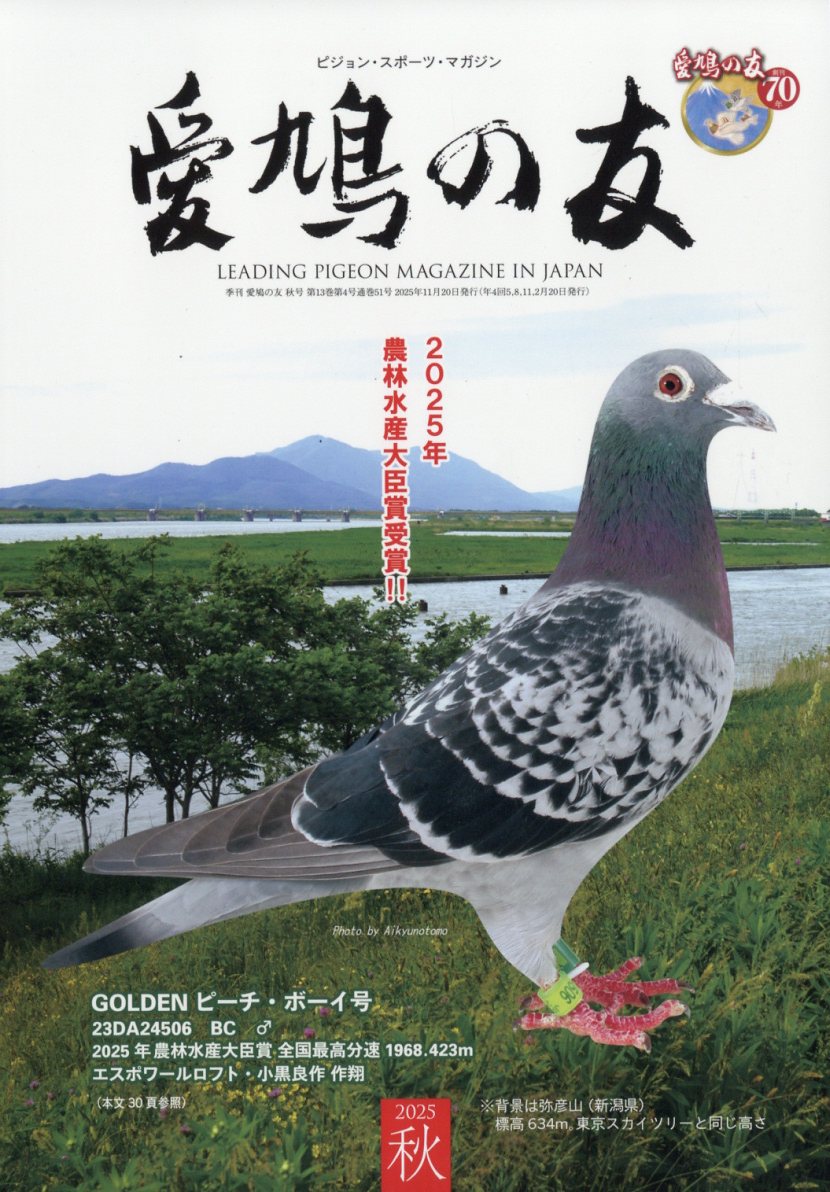 楽天市場】AIKYU NO TOMO (愛鳩の友) 2024年 02月号 [雑誌]/愛鳩の友社