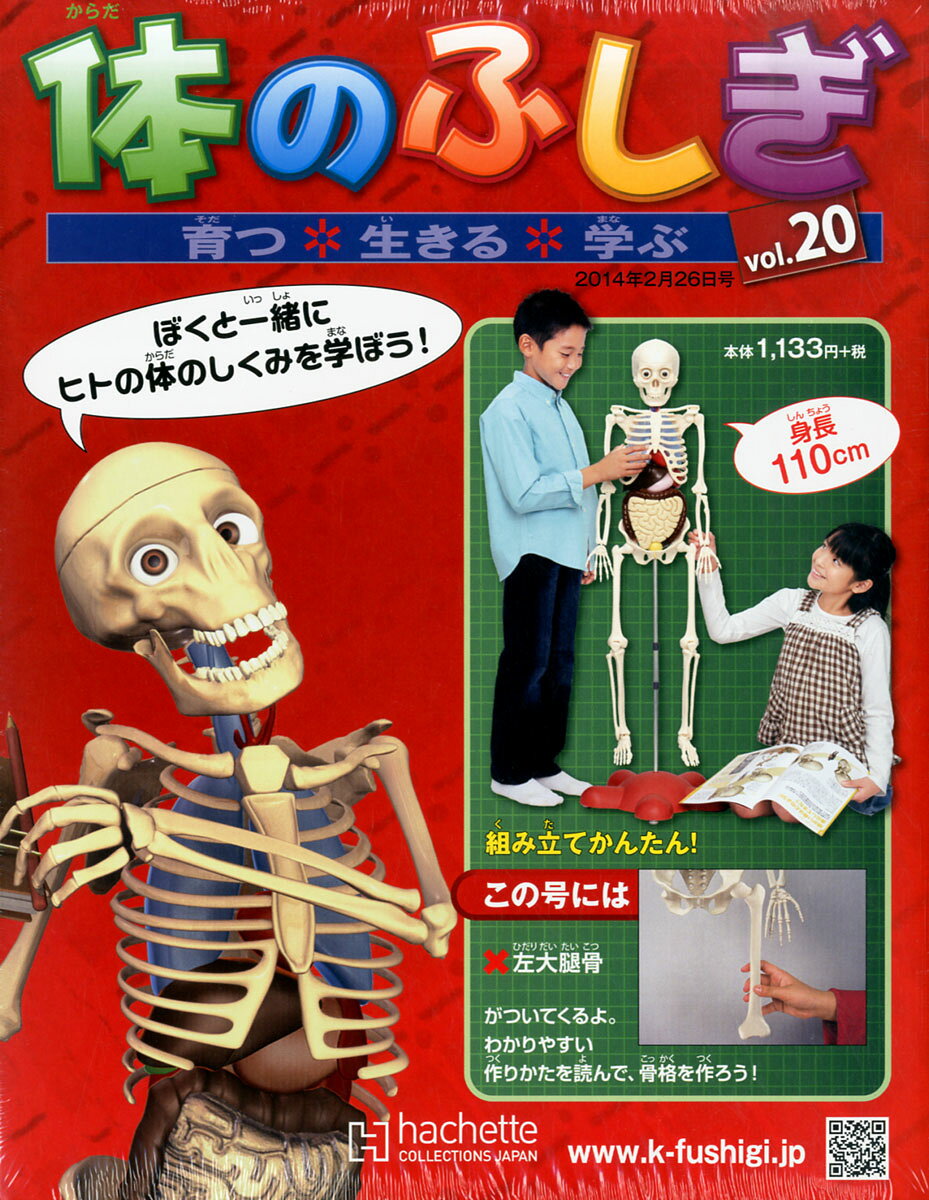 楽天市場】体のふしぎ 2014年 6/4号 [雑誌]/アシェット