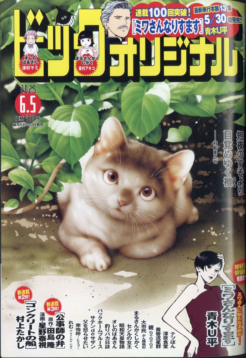 楽天市場】ビッグコミック オリジナル 2025年 8/20号 [雑誌]/小学館