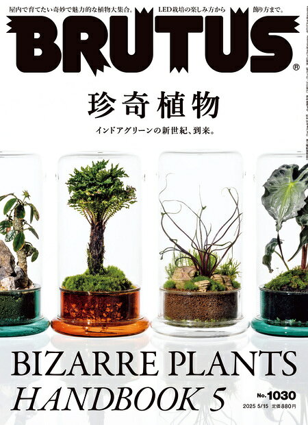 BRUTUS (ブルータス) 2025年 5/15号 [雑誌]/マガジンハウス