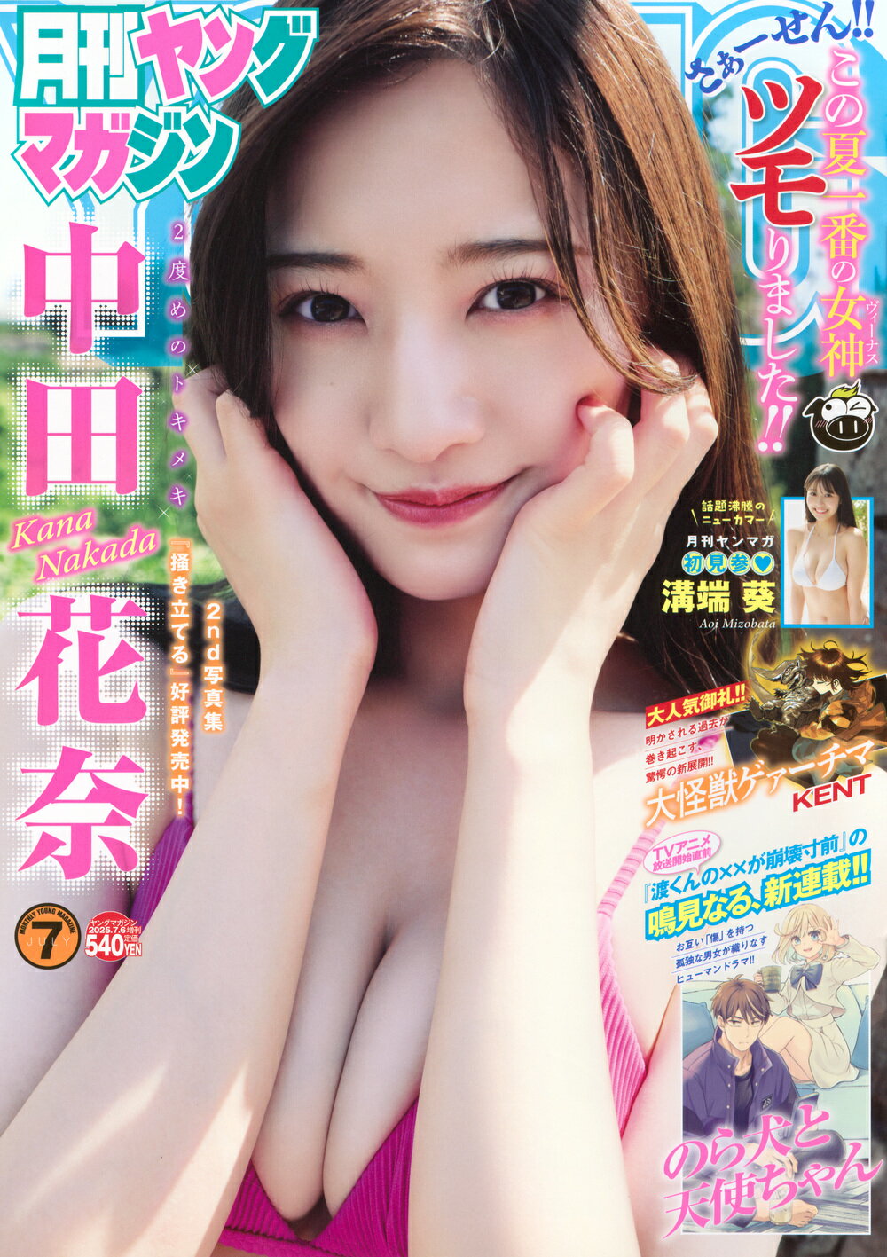 月刊ヤングマガジン 2025年 7/6号 [雑誌]/講談社