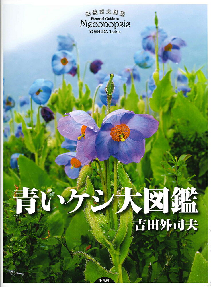 楽天市場】日本緑化センター 最新・樹木医の手引き 改訂4版/日本緑化