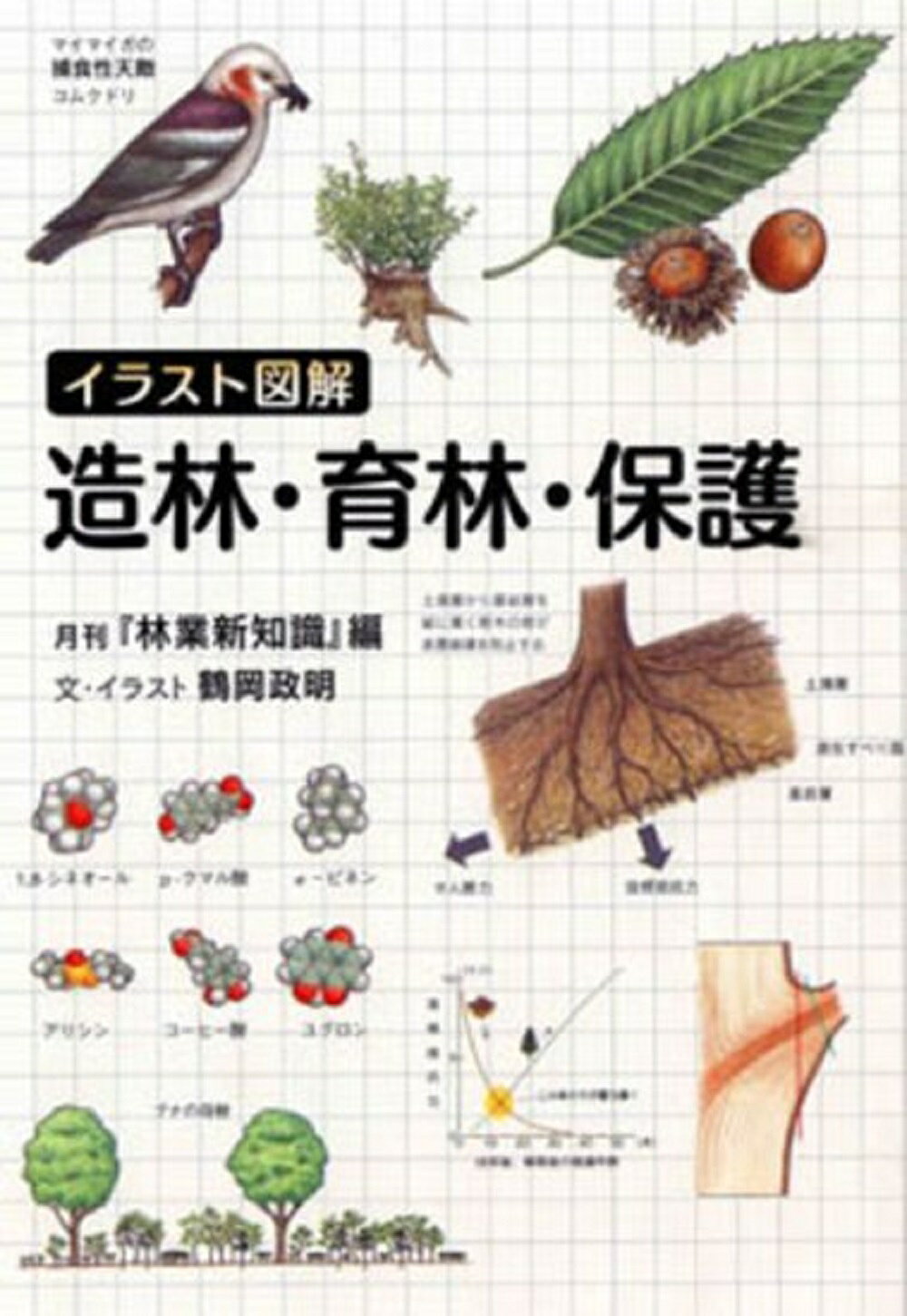 森林・林業実務必携 第２版/朝倉書店/東京農工大学農学部森林・林業実務必携編集（単行本） 森林・林業実務必携 第2版補訂版｜朝倉書店