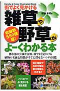 街でよく見かける雑草や野草がよ-くわかる本 収録数５５０種超！　Ｈａｎｄｙ　＆　ｃｏｌｏｒ　ｉ/秀和システム新社/岩槻秀明