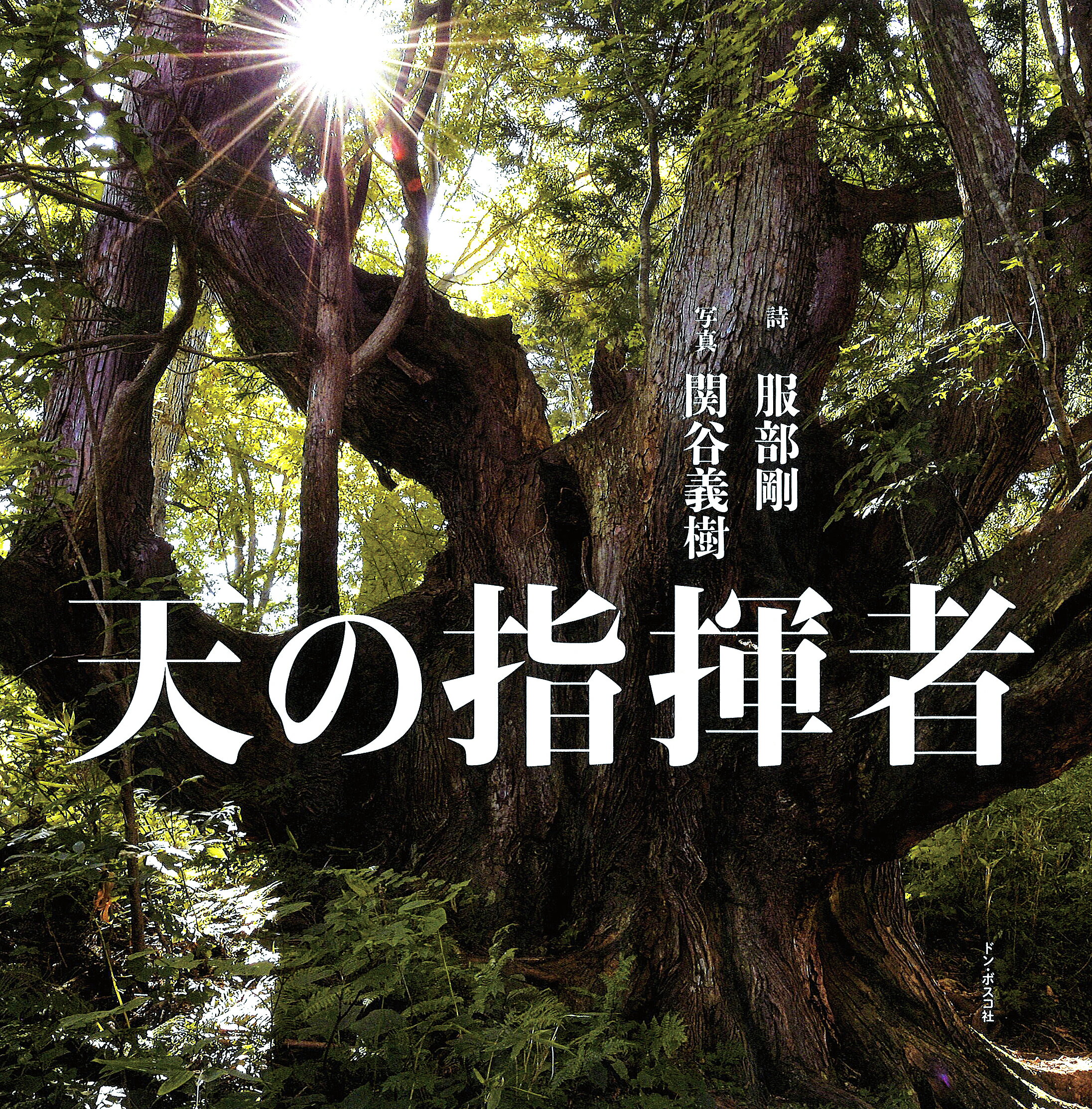 天の指揮者/ドン・ボスコ社/服部剛