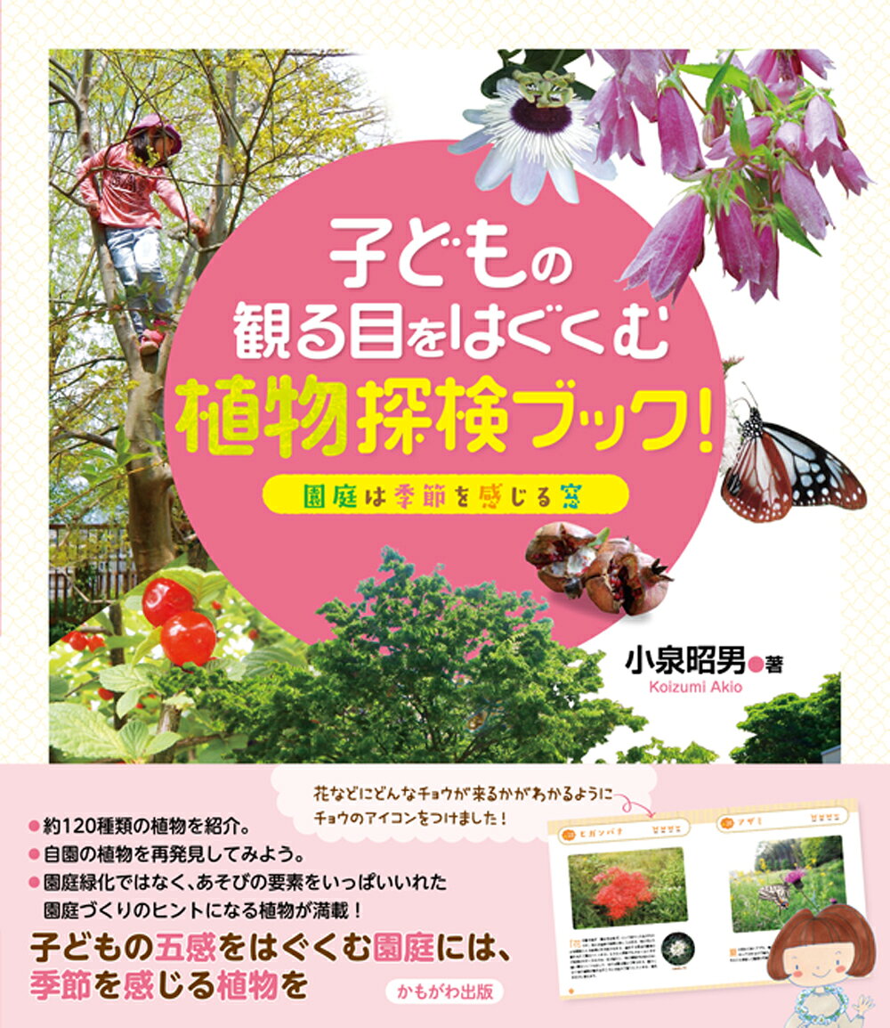庭と温室と海岸の花 花のつくりがよくわかる植物観察図鑑  /旺文社/松原巌樹（単行本） 楽天市場】旺文社 庭と温室と海岸の花 花のつくりがよくわかる植物観察