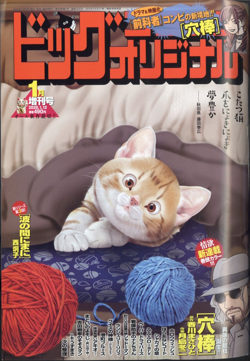 ビッグコミックオリジナル 増刊号 2025年 1/12号 [雑誌]/小学館