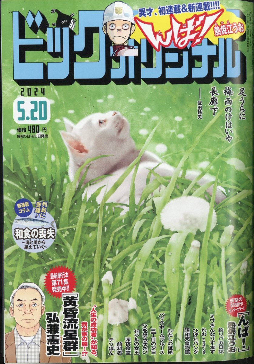楽天市場】ビッグコミック オリジナル 2024年 5/20号 [雑誌]/小学館