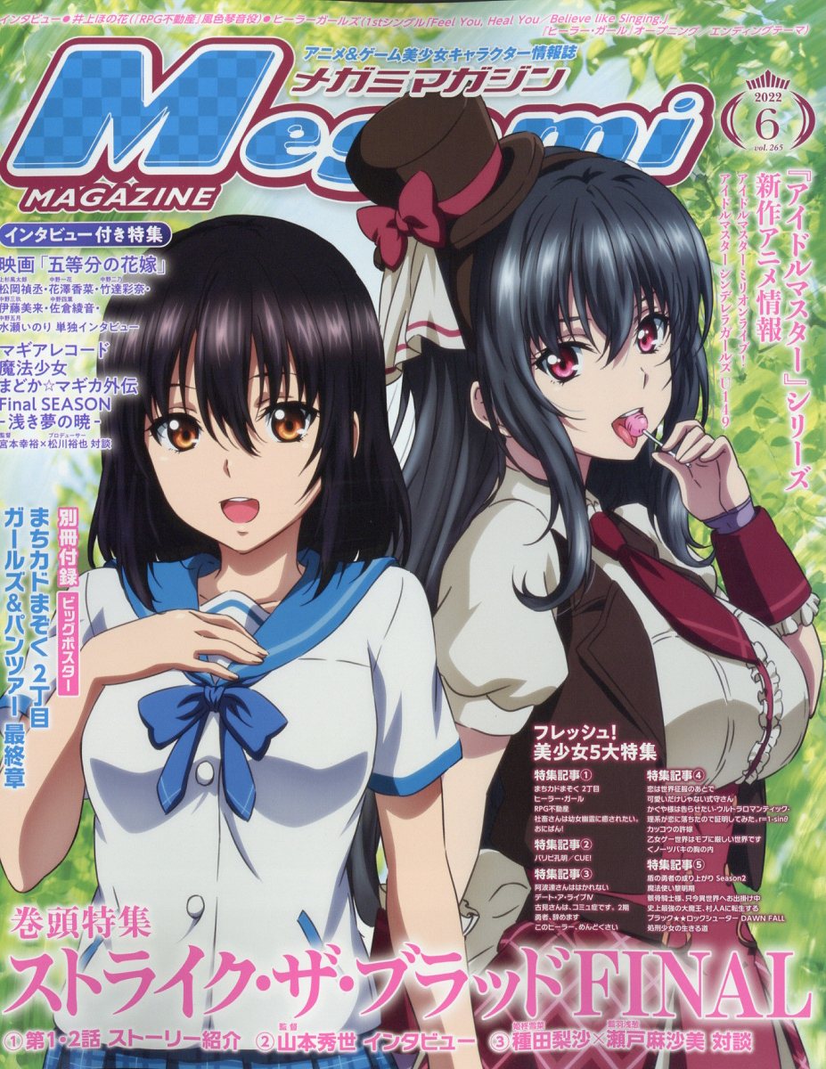 新品　メガミマガジン   2023年6冊　2022年4冊　10冊まとめ売り Megami Magazine(メガミマガジン） 2023年4月号 (発売日2023年02