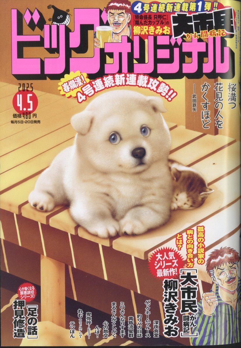 ビッグコミック オリジナル 2025年 4/5号 [雑誌]/小学館