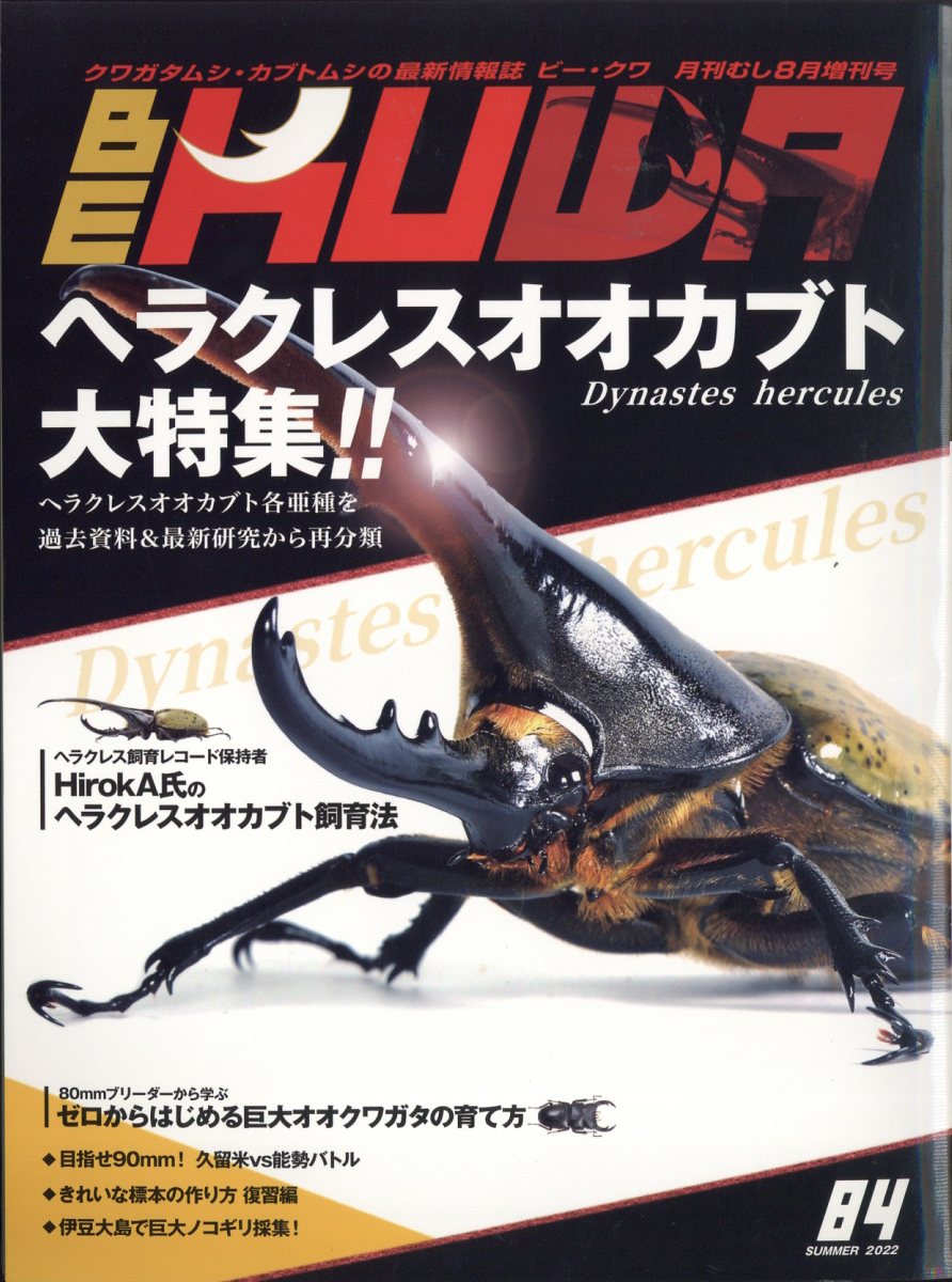 楽天市場】BE-KUWA(ビー・クワ) No.100 2026年 08月号 [雑誌]/むし社