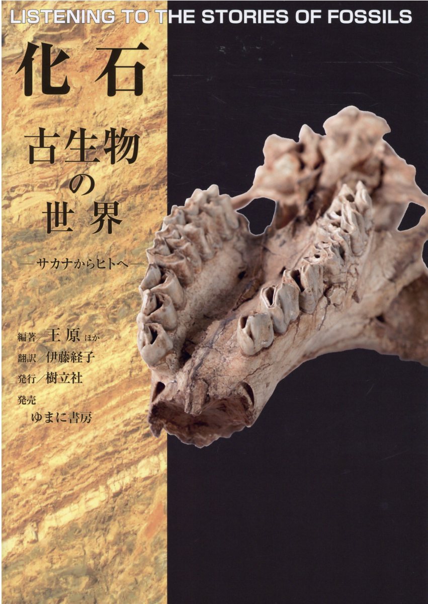 熱河生物群化石図譜 : 羽毛恐竜の時代 楽天市場】朝倉書店 熱河生物群化石図譜 羽毛恐竜の時代/朝倉