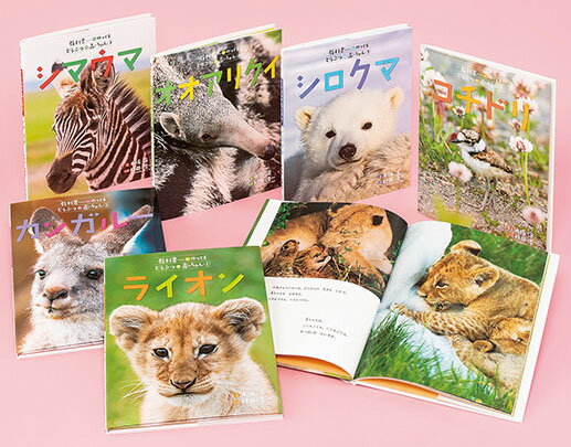 楽天市場】偕成社 教科書にのってるどうぶつの赤ちゃん（全6巻セット