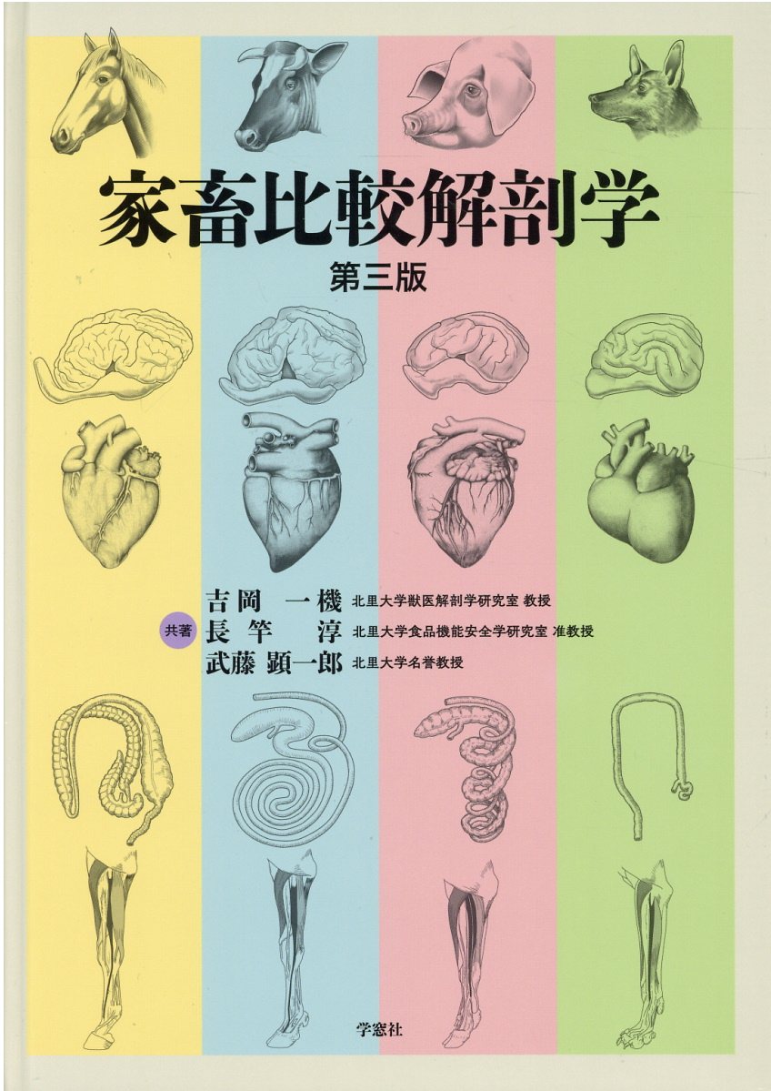デュークス獣医生理学 原書13版 楽天市場】学窓社 デュークス獣医生理学 原書13版/学窓社/鈴木