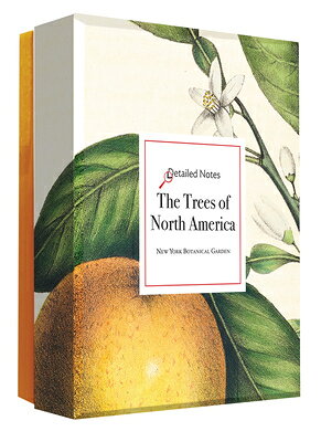 The Trees of North America: A Detailed Notes Notecard Box/ABBEVILLE PR/Editors of Abbeville Press