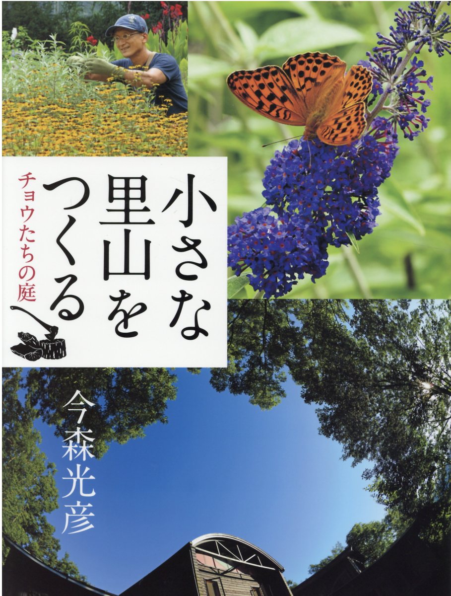 【中古】 砂漠に緑の園を “地球の森”をまもりつづける向後元彦/ＰＨＰ研究所/日野多香子 Amazon.co.jp: 砂漠に緑の園を: 地球の森をまもりつづける向後