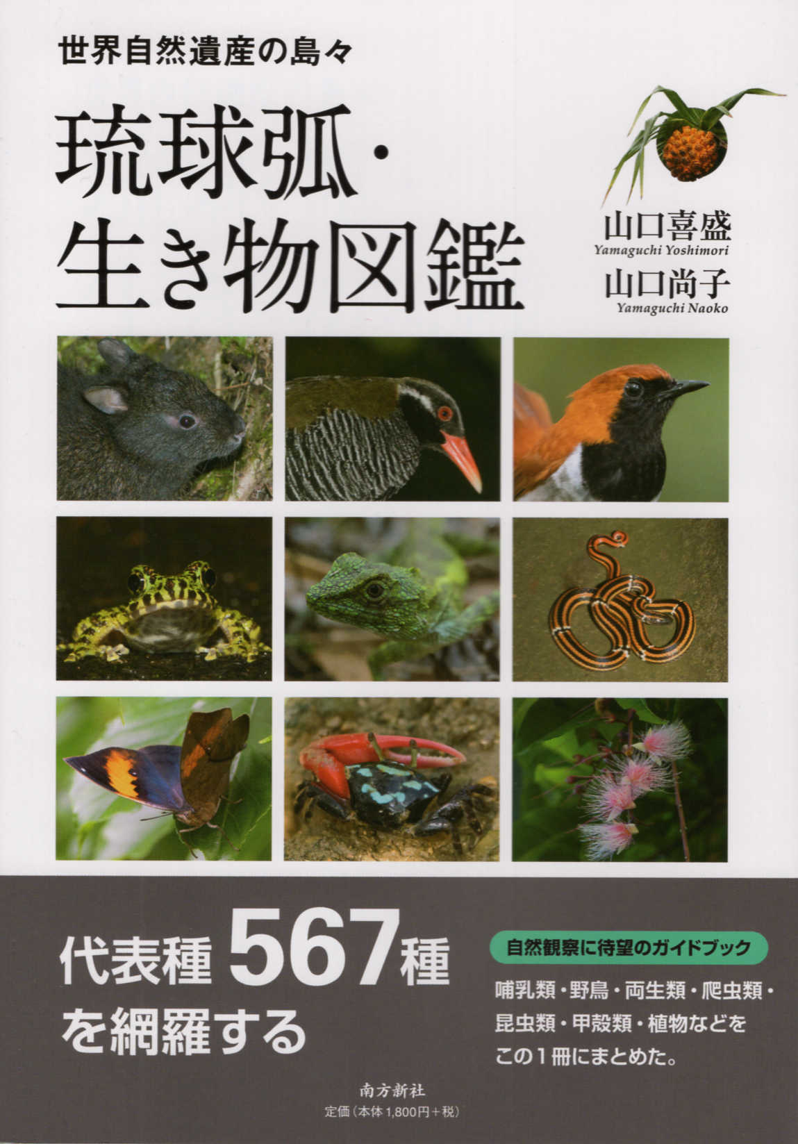 琉球弧・生き物図鑑/南方新社/山口喜盛