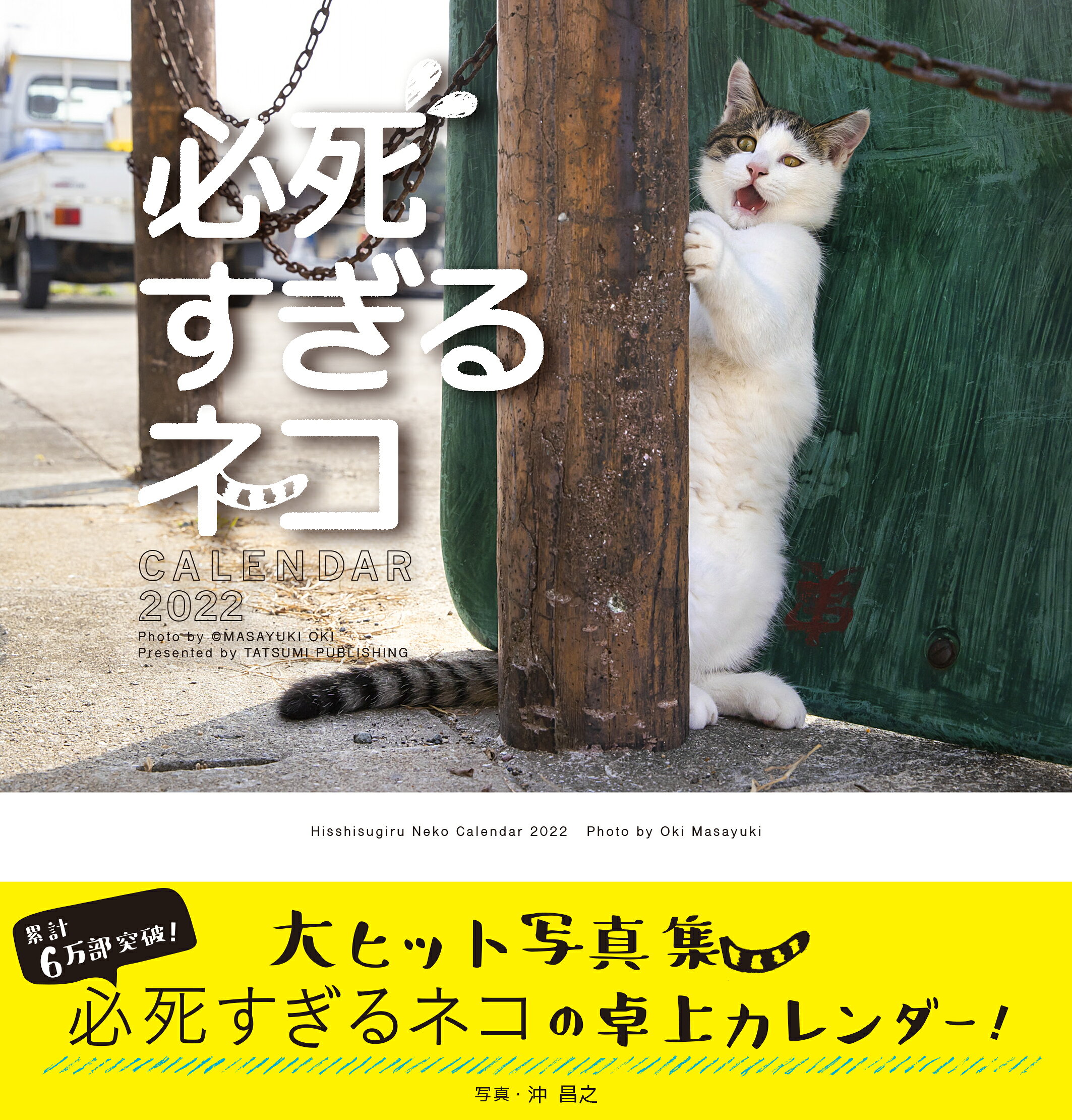 楽天市場】小学館 ビッグコミックオリジナル村松誠猫カレンダー