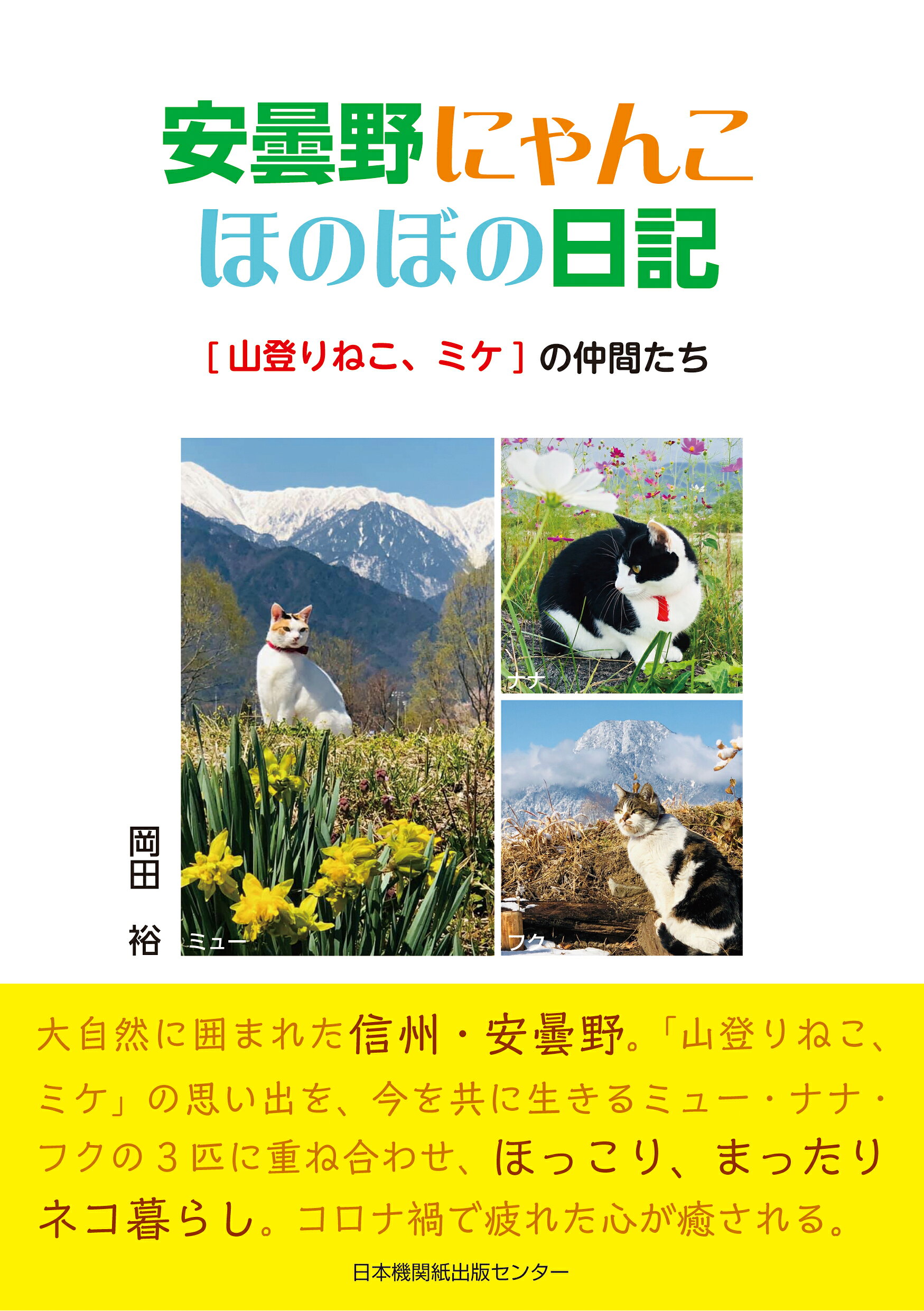楽天市場】イラストを読む！犬と猫の臨床外科 一次診療いますぐできる
