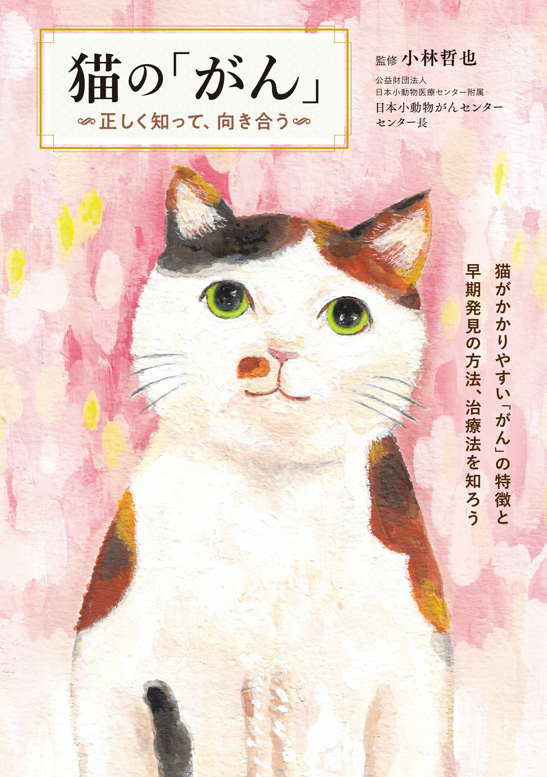 楽天市場】イラストを読む！犬と猫の臨床外科 一次診療いますぐできる